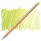 Luminance Colored Pencils 6901 by Caran D'Ache - Choose Your Color